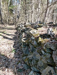 Remains of a stone wall at the Tartown site Tartown wall.jpg