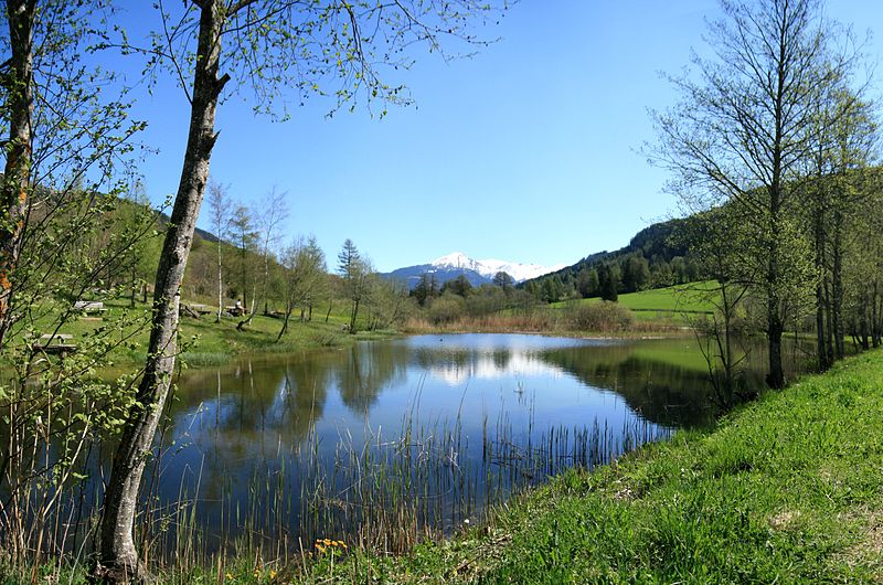 File:Teich bei Trins mit Blick Richtung Osten auf Pendelstein.jpg