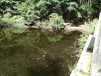 The Triftweiher of the Teufelsbachklause on a right tributary of the Teufelsbach