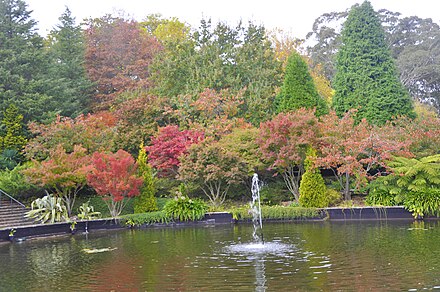 The autumn colour of the Bebeah Private Garden