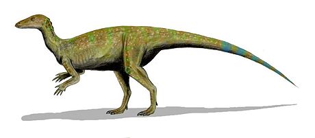 Thescelosaurus