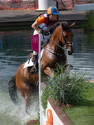 <span class="mw-page-title-main">Tim Lips</span> Dutch equestrian