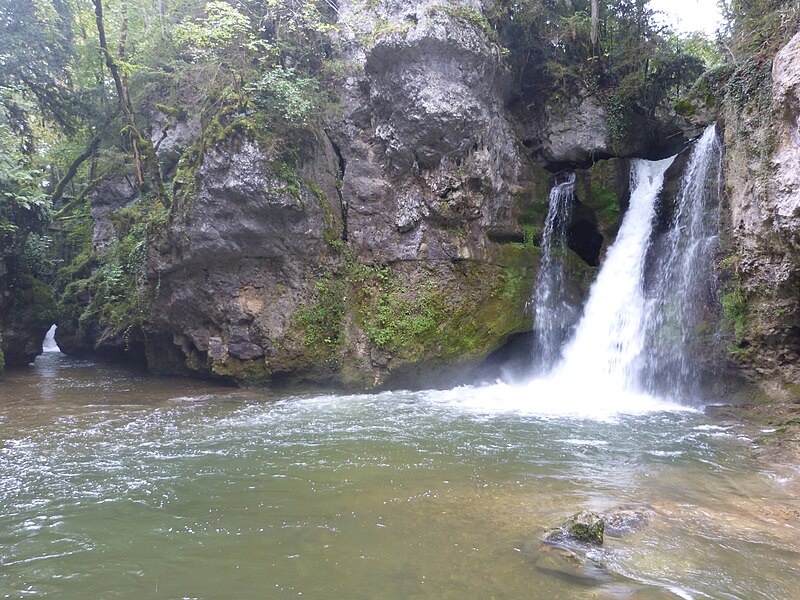 File:Tine de Conflens.jpg