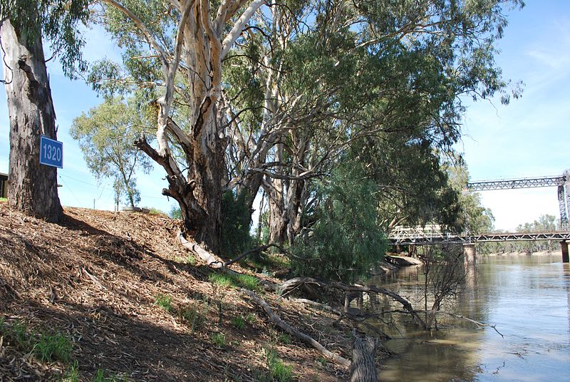 File:Tooleybuc Murray River 002.JPG