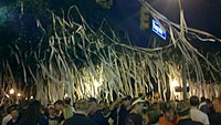 Fans rolling the trees opposite Toomer's Drugs after a home win over Clemson in 2010 Toomers corner rolled.jpg