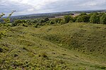 Totternhoe Knolls