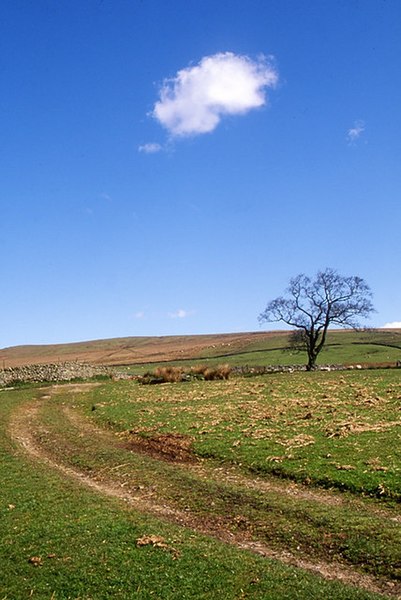Between Catlow and New House farms