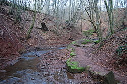 Das Flussbett des Mühlenbachs