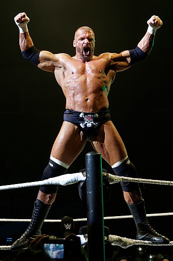 Triple H is a five-time winner of the category