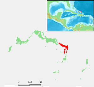 Position of the island