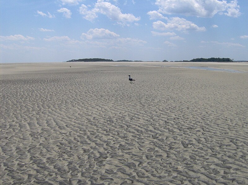 File:Tybee-island-south-lowtide-ga1.jpg