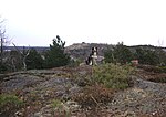 Vikingaberget är Stockholms kommuns högsta naturliga punkt, 77,24 meter över havet.