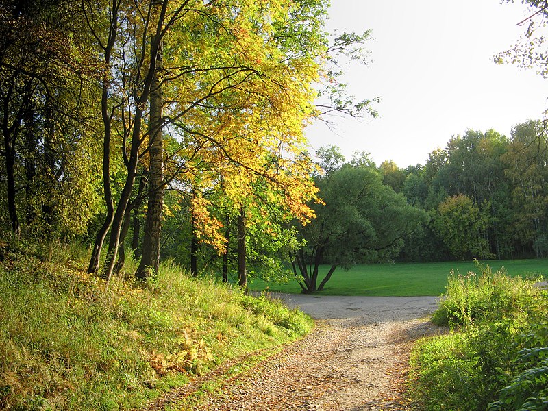 File:Udelny Park Downhill.jpg