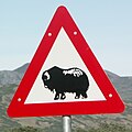 תמרור אזהרה מפני כבשי מושק באזור קאנגרלוסואק, מחוז קקאטה