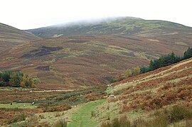 Upper Glen Sax and Dun Rig - geograph.org.uk - 1534824.jpg