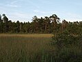 Väike-Toatse järv