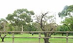 Valley View, South Australia