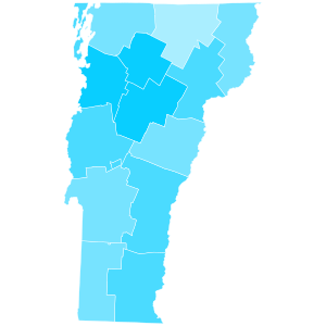 Vermont County Swing 2020.svg