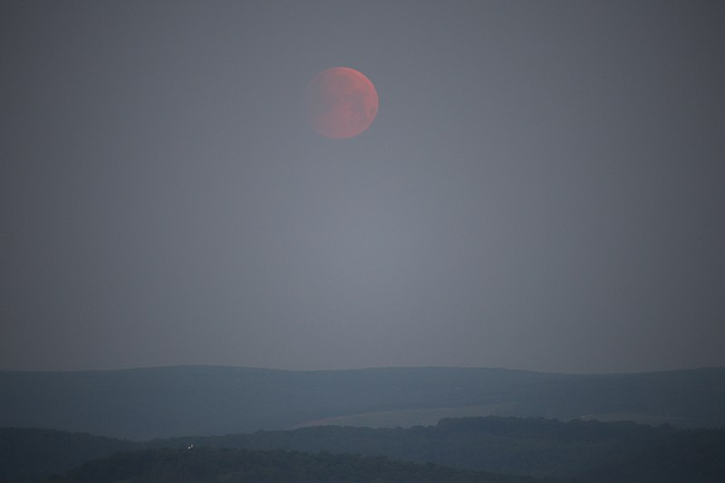 File:View from the Cove Overlook Rest Area, Keyser's Ridge, Garrett, Maryland, May 26, 2021 156.jpg