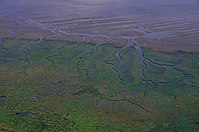 78. Platz: Utz Wöhleke mit Nordseeküste im Nationalpark Niedersächsisches Wattenmeer zwischen Carolinensiel und Neuharlingersiel mit Wattenflächen, Prielen und sich bildenden Salzwiesen