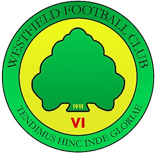 <span class="mw-page-title-main">Westfield F.C. (Sussex)</span> Association football club in England