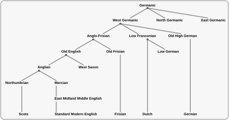 Tập_tin:Westgermanic_English_tree.svg