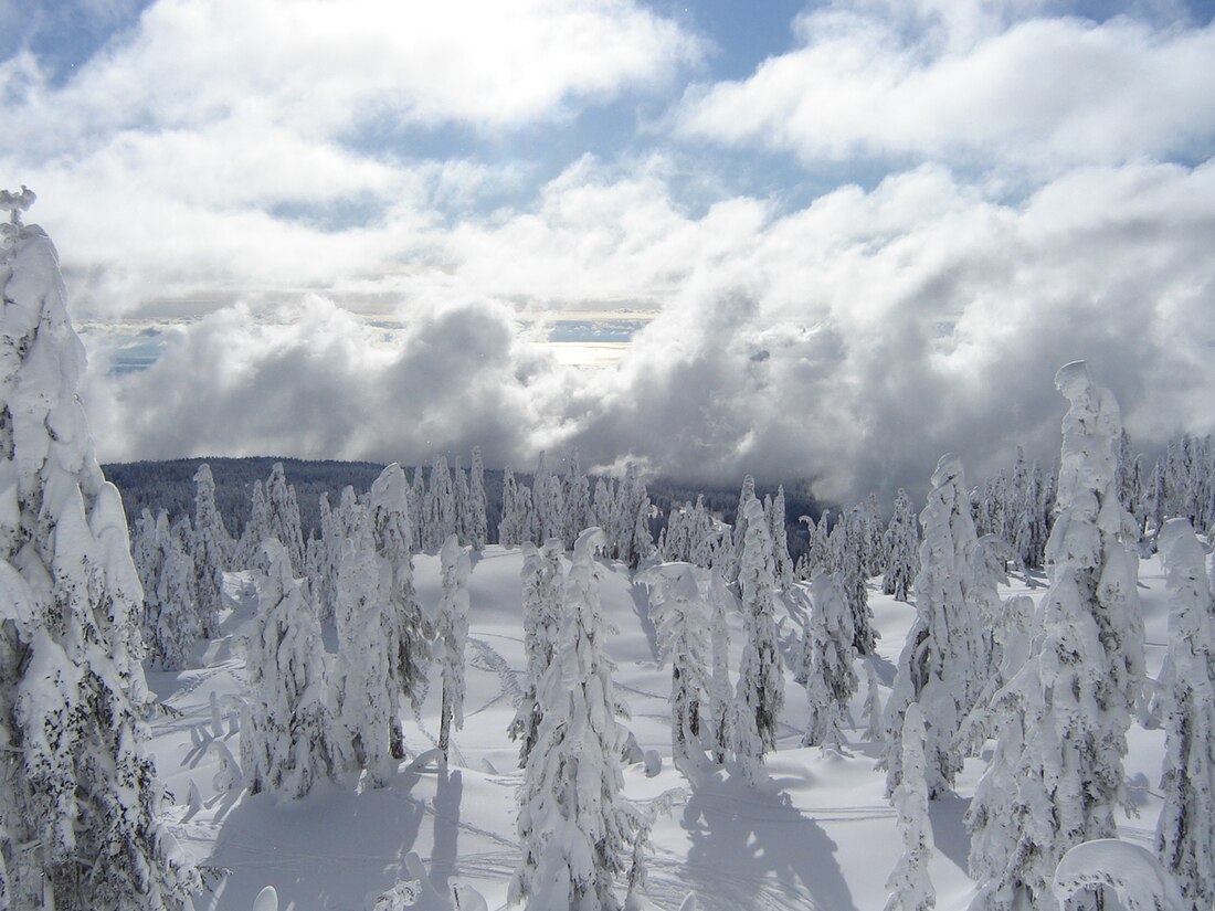 Cypress Provincial Park