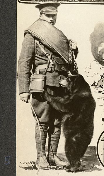 File:Winnie the Bear 1915.jpg