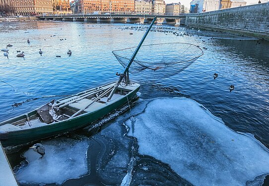 Fishing net in the centre of Stockholm