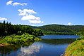 Vistula in southern Poland with the Silesian Beskids