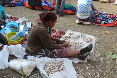 white Onions for sale