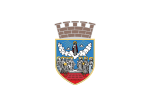 Zastava Zrenjanina.svg