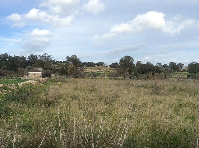 Farmland in Żejtun.