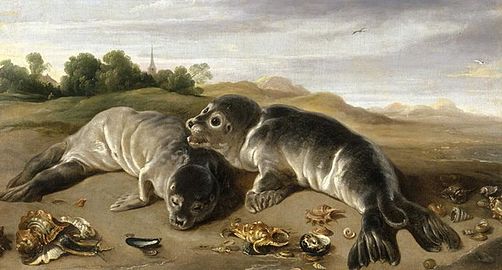 Paul de Vos, Deux Jeunes Phoques sur un rivage, vers 1650, huile sur toile, 80 × 146 cm.