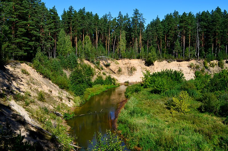 File:Ūlos skardžiai tarp Krokšlio ir Rudnios.JPG