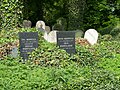Židovský hřbitov Tučapy - nové a staré náhrobky
