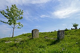 Сmentarz żydowski nad rzeką Boh