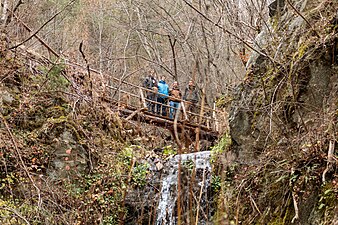 Групна фотографија на википедијанците на мост кон Пехчевските Водопади