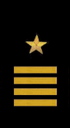 marine ærme insignier