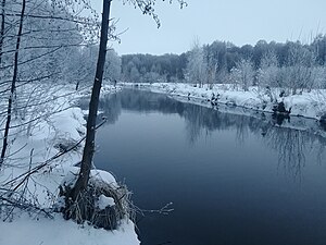 Тавровка зимой