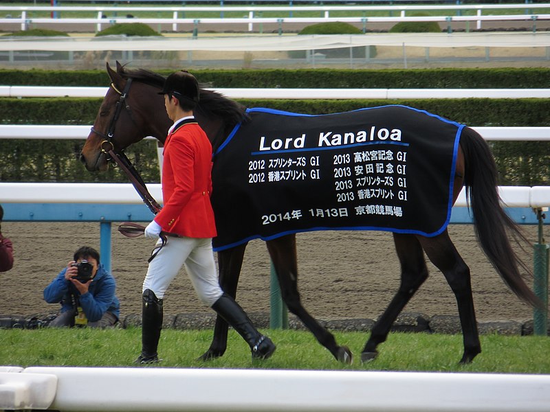 File:ロードカナロア引退式 - 京都競馬場 - Retirement ceremony of Lord Kanaloa - Kyoto Racecourse (12050227733).jpg