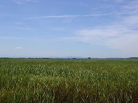 仏 沼 風景 .JPG