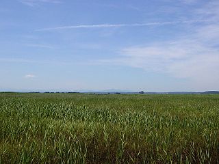 <span class="mw-page-title-main">Hotokenuma</span> Wetland area in Aomori Prefecture, Japan