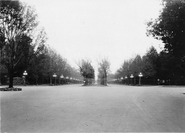 Paseo in la Reforma in Lomas de Chapultepec, 24 June 1929.