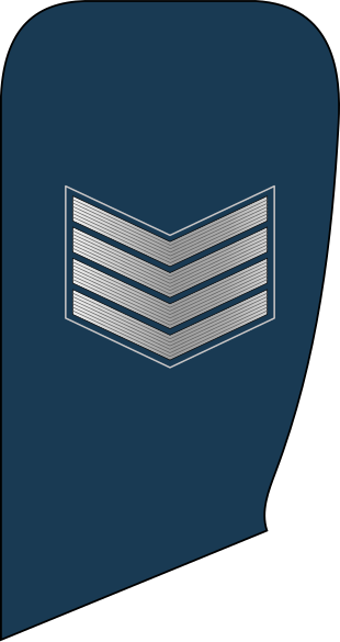 File:04.Libyan Air Force-SSG.svg