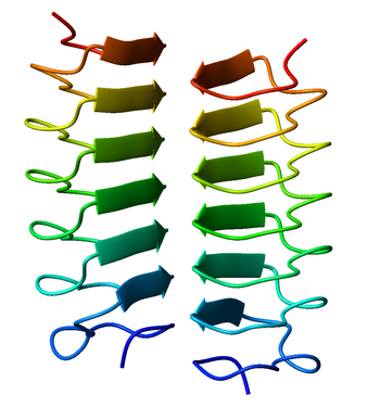 Dimeric, right-handed b-helix antifreeze protein from the beetle Tenebrio molitor (PDB: 1EZG ). Face-to-face association of b-helices. 1ezg Tenebrio molitor.png