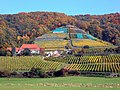 Rysselscher Berg; Rysselsches Weingut