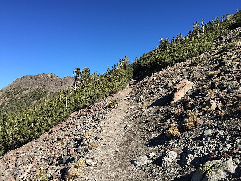 File:2015-10-31 11 23 18 View northeast along the Mount Rose Trail near tree-line about 4.5 miles northwest of Mount Rose Summit, Nevada.jpg