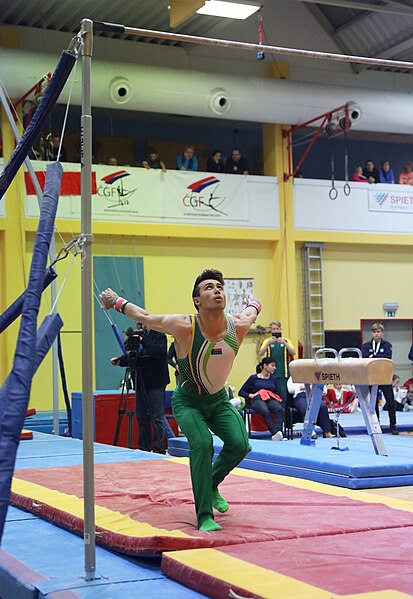 File:2019-11-30 OHC Liberec 2019 MAG Apparatus finals Horizontal bar (Martin Rulsch) 163.jpg