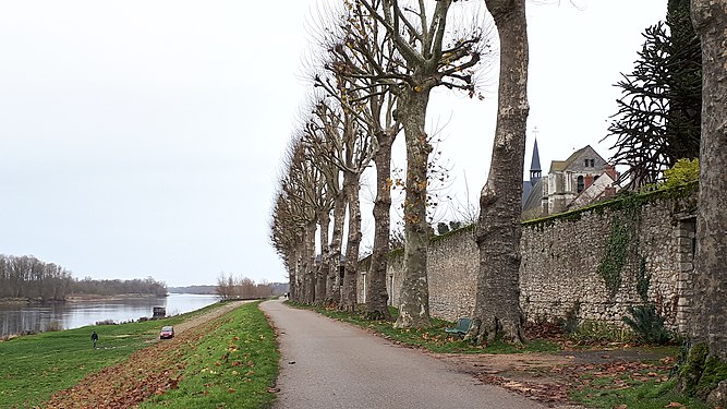 Bords de Loire à Saint-Dyé (Loir-et-Cher, France)